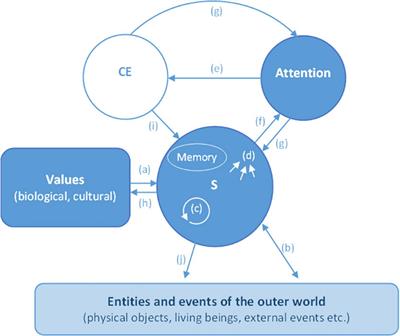 The why of the phenomenal aspect of consciousness: Its main functions and the mechanisms underpinning it